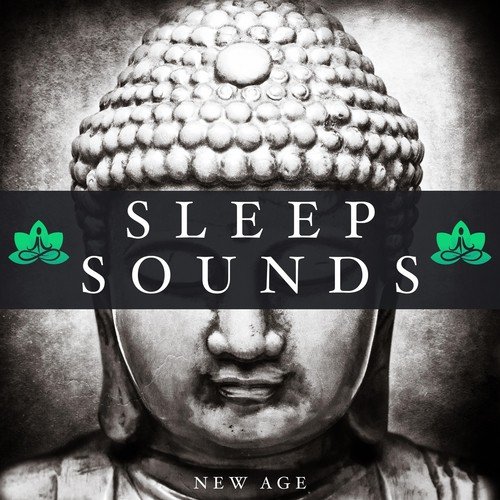 The Zen Song cover art