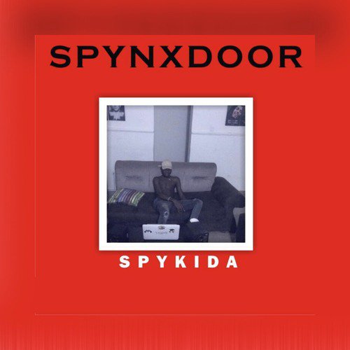 Spynxdoor_poster_image