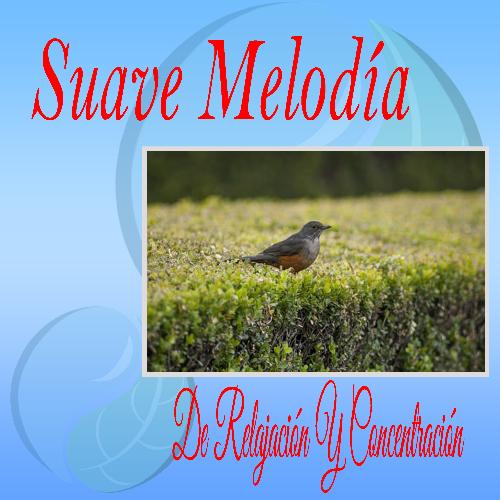 Música de Relajación Profunda cover art