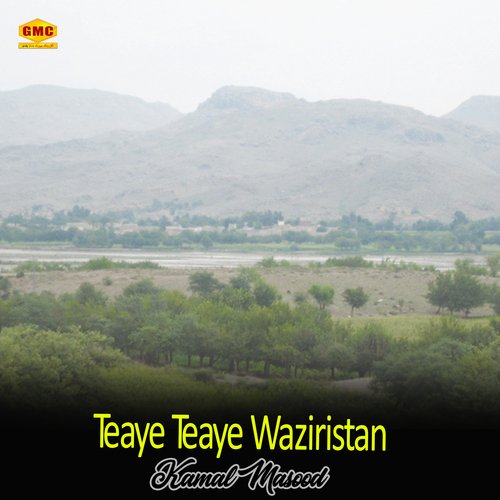 Teyaye Teyaey Wazirstan Day