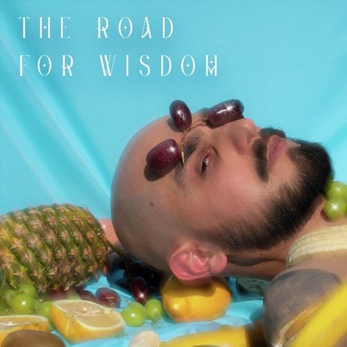 W.I.S.E. cover art
