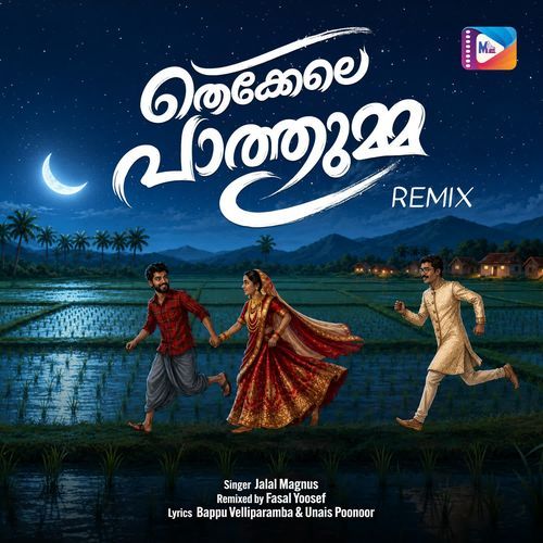 Thekkele Paathumma (Remix)
