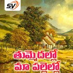 Thummedallo Maa Pallelallo