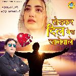 Toddkar Dil Mera Jaane Wale