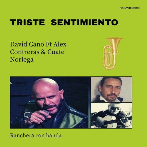 Triste Sentimiento