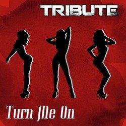 Turn Me On (David Guetta feat. Nicki Minaj Tribute) -  Single