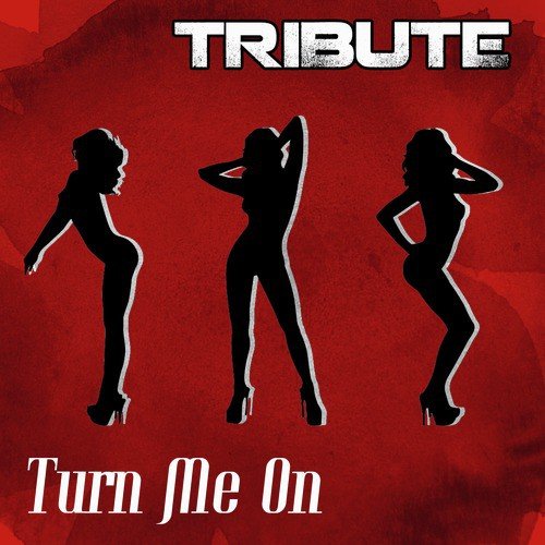 Turn Me On (David Guetta feat. Nicki Minaj Tribute) -  Single_poster_image