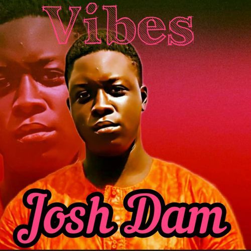 Vibes cover art