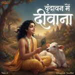 Vrindavan Mein Deewana