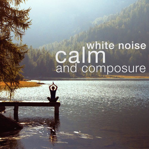 White Noise: Calm and Composure_poster_image