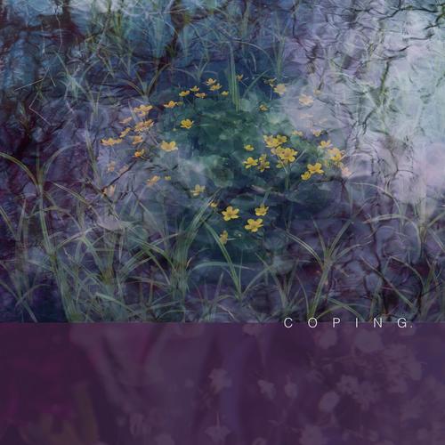 Braille cover art