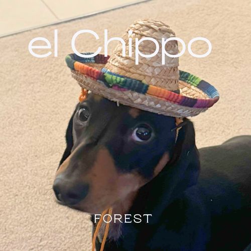 el Chippo_poster_image