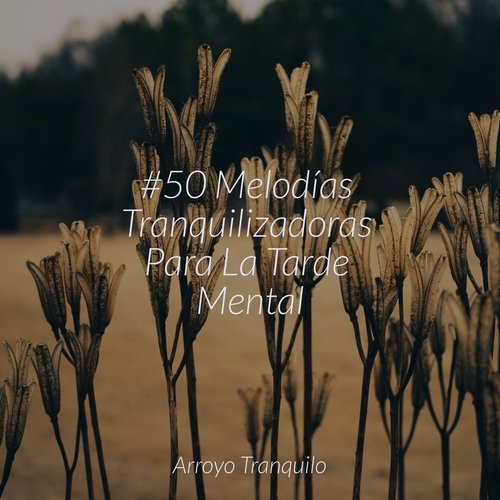 El Movimiento Como Arte cover art