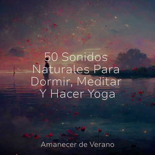 50 Sonidos Naturales Para Dormir, Meditar Y Hacer Yoga_poster_image