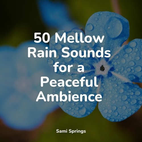 50 Yoga Rain Sounds for Sleep_poster_image