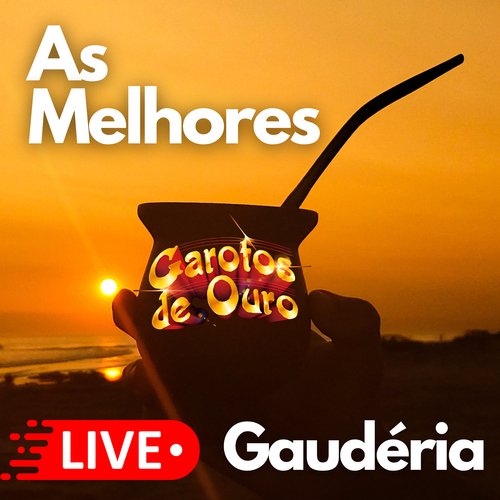 Festança Dos Medeiros cover art