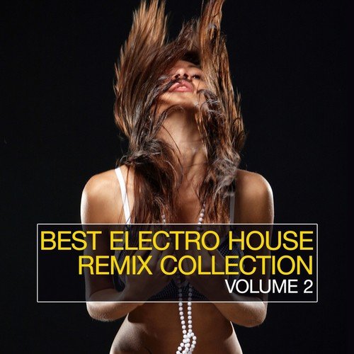 Best Electro House Remix Collection, Vol. 2