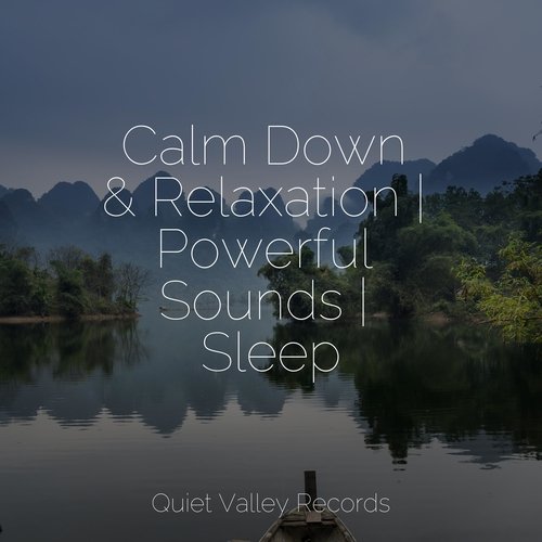 Sleepy cover art
