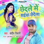 Chhedale Me Saiya Chhedela