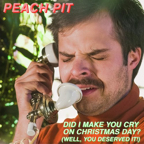 Did I Make You Cry on Christmas Day? (Well, You Deserved it!)_poster_image