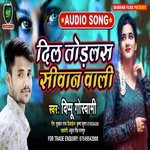 dil todalas sivan vaali