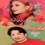 Yar Da Misro Shami (Farsi) artwork