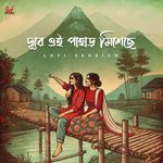 Dure Oi Pahar Misheche - LoFi