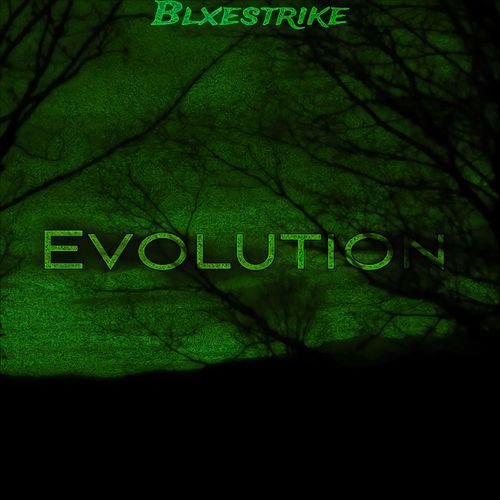 Evolution (Slowed & Reverb)