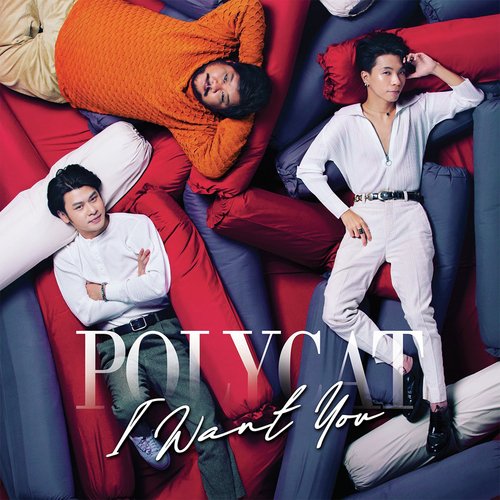 พบกันใหม่ - Percussion Set (Live in Polycat I Want You Concert)