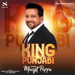 King Punjabi
