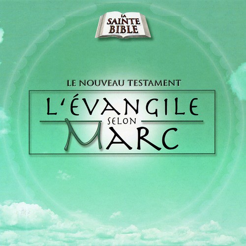 Chapitre VIII : La Multiplication Des Pains, Jésus Reconnu Comme  Le Christ cover art