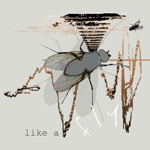 Like a Fly