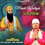 MAIDI WALEYA