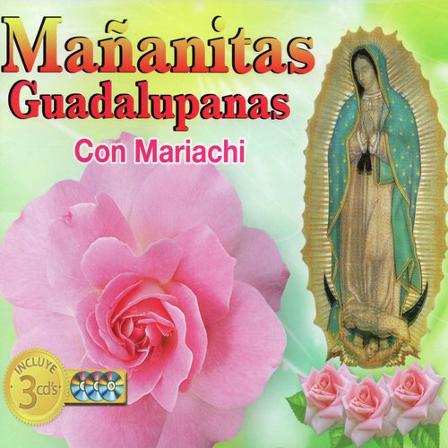 Mananitas Guadalupanas Con Mariachi