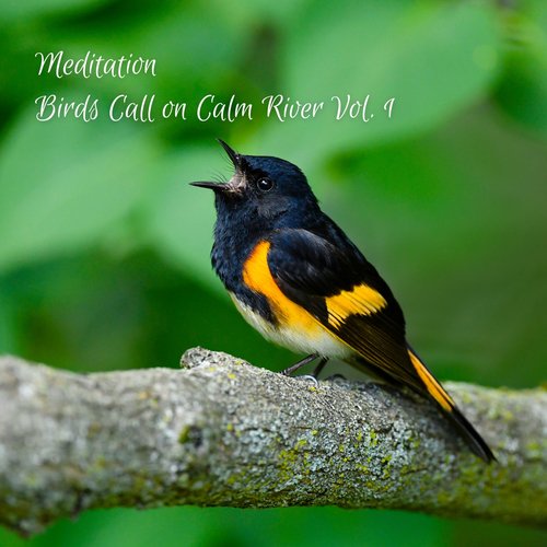 Meditation: Birds Call on Calm River Vol. 1_poster_image