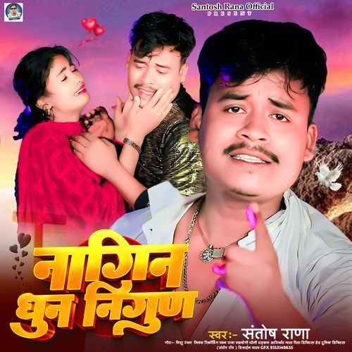 Nagin Dhun Nirgun_poster_image