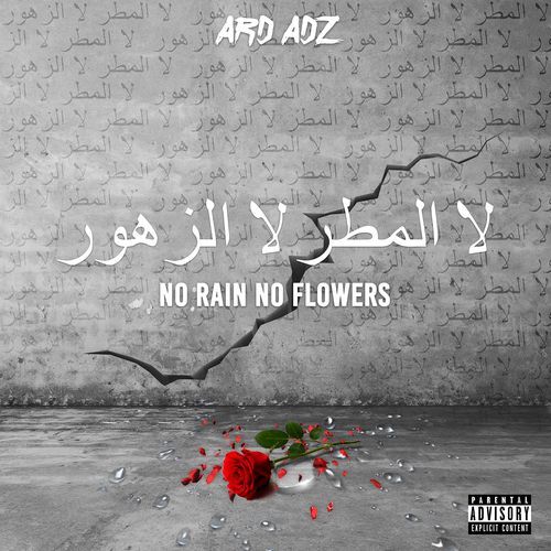 No Rain No Flowers_poster_image