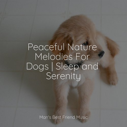 Peaceful Nature Melodies For Dogs | Sleep and Serenity