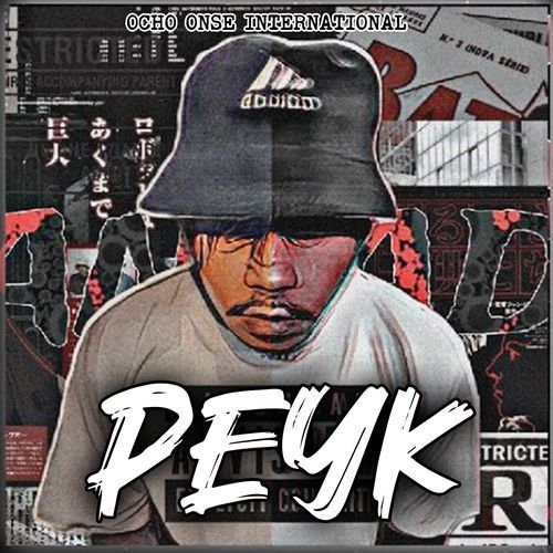 Peyk cover art