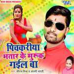 Pichkari Bhatar Ke Muruk Gail Ba