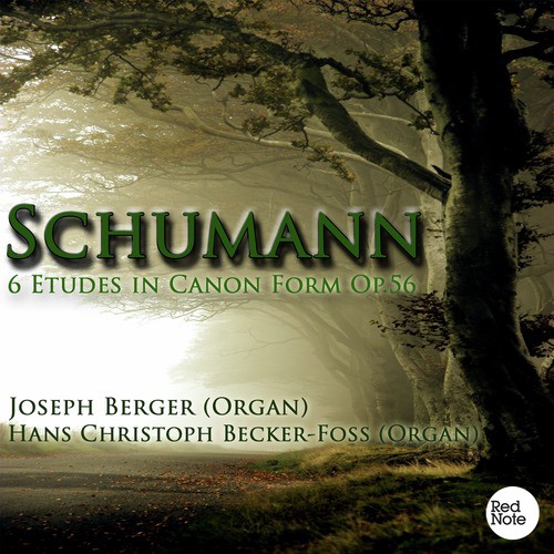 Schumann: 6 Etudes in Canon Form Op.56_poster_image