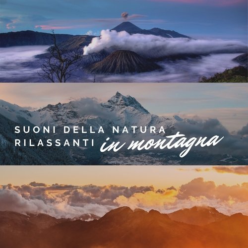 Rilassamento senza fine cover art