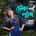 Teka Pakhi