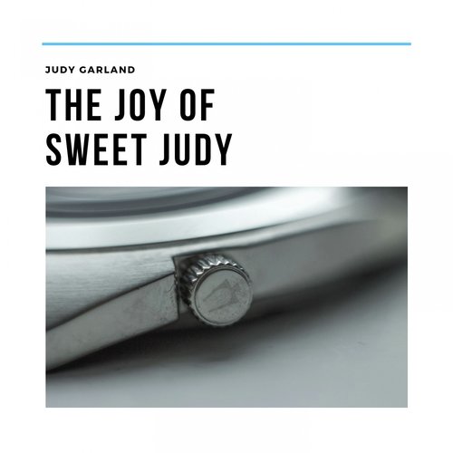 The Joy of Sweet Judy_poster_image