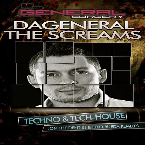 The Screams (Felo Rueda Remix) cover art