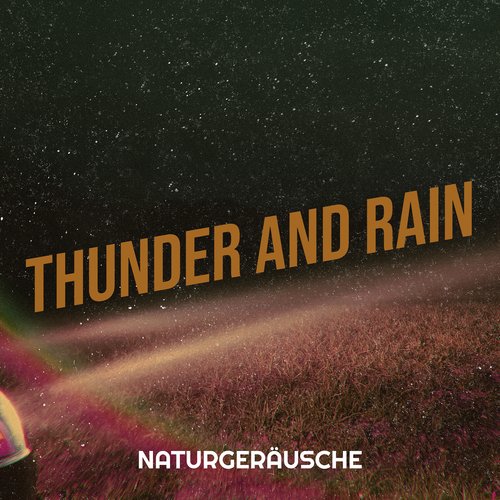 Thunder and Rain_poster_image