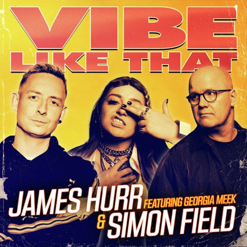 Vibe Like That (feat. Georgia Meek)_poster_image