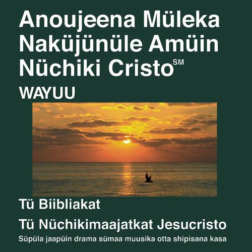 Wayuu en el Nuevo Testamento (Dramatizadas) - Wayuu Bible