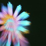 Without (Tim Green Remix)