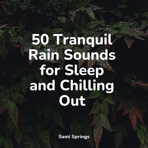 50 Sounds of Rain and Ambient Rain Sounds_poster_image